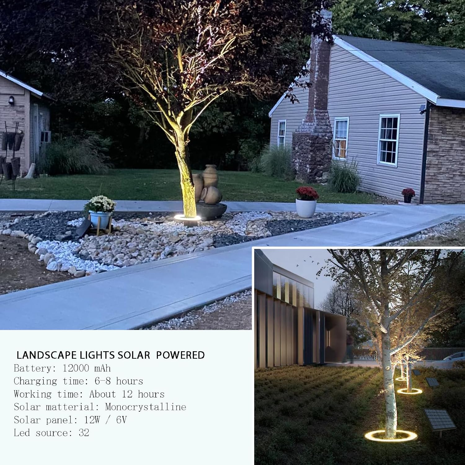 Solar Palm Tree Spotlights
