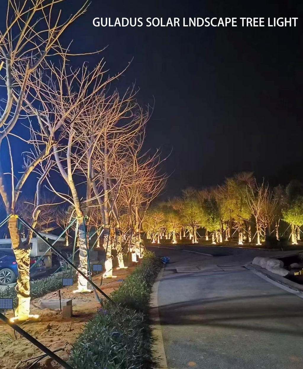 Solar Palm Tree Spotlights