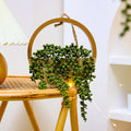 2 Pack Wood Artificial String of Pearls Hanging Succulents