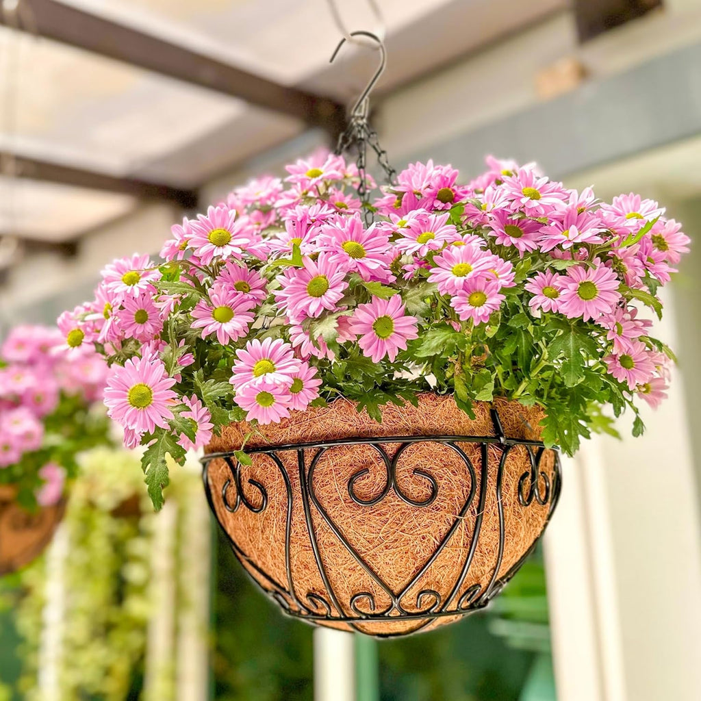 6 Pack Black Metal Coco Liner Hanging Baskets