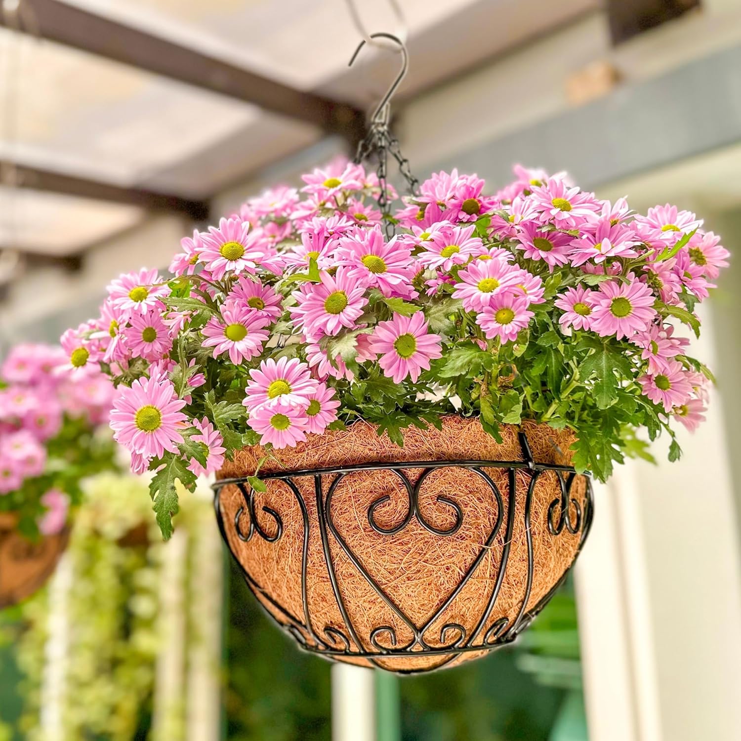 6 Pack Black Metal Coco Liner Hanging Baskets