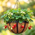 2 Pack 12 Inch Black Metal Coco Liner Hanging Baskets