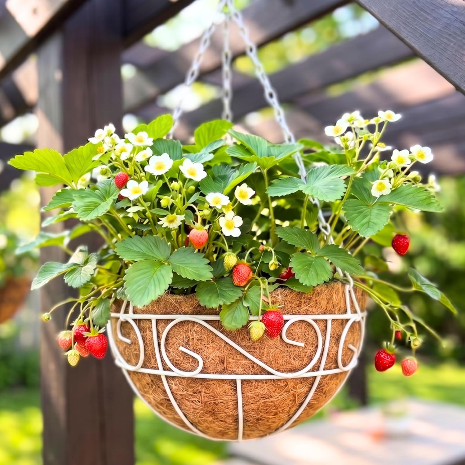 4 Pack White Metal Coco Liner Hanging Baskets