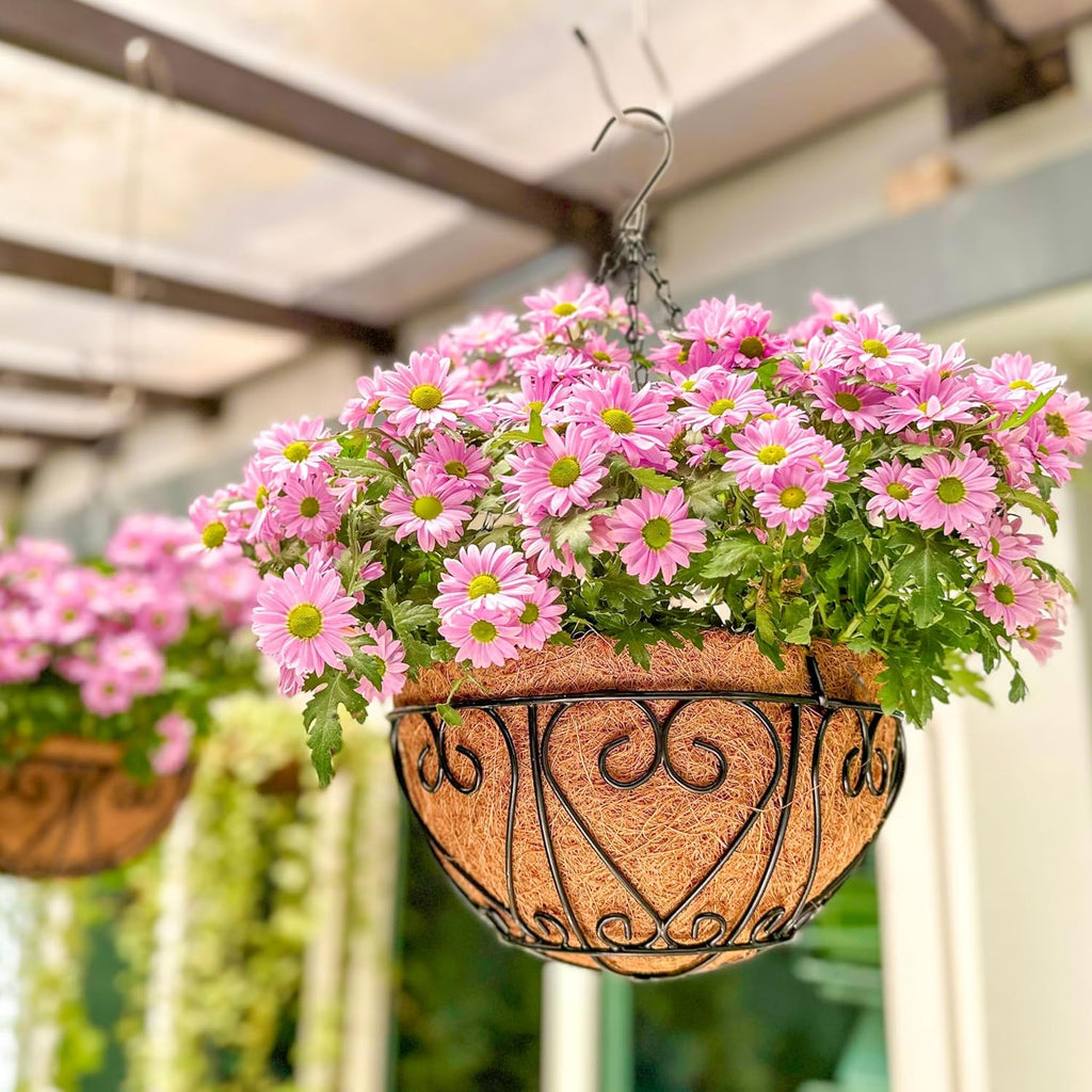 2 Pack 10 Inch Black Metal Coco Liner Hanging Baskets